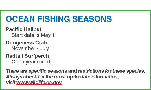 OCEAN FISHING SEASONS Pacific Halibut Start date is May 1. Dungeness Crab November July Redtail Surfperch Open year r...