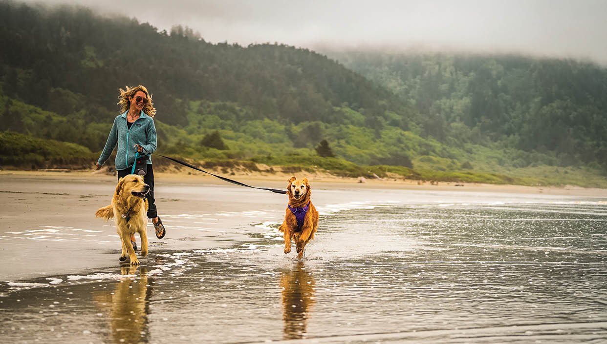 A woman and her dog are walking on a beach. AI generated content