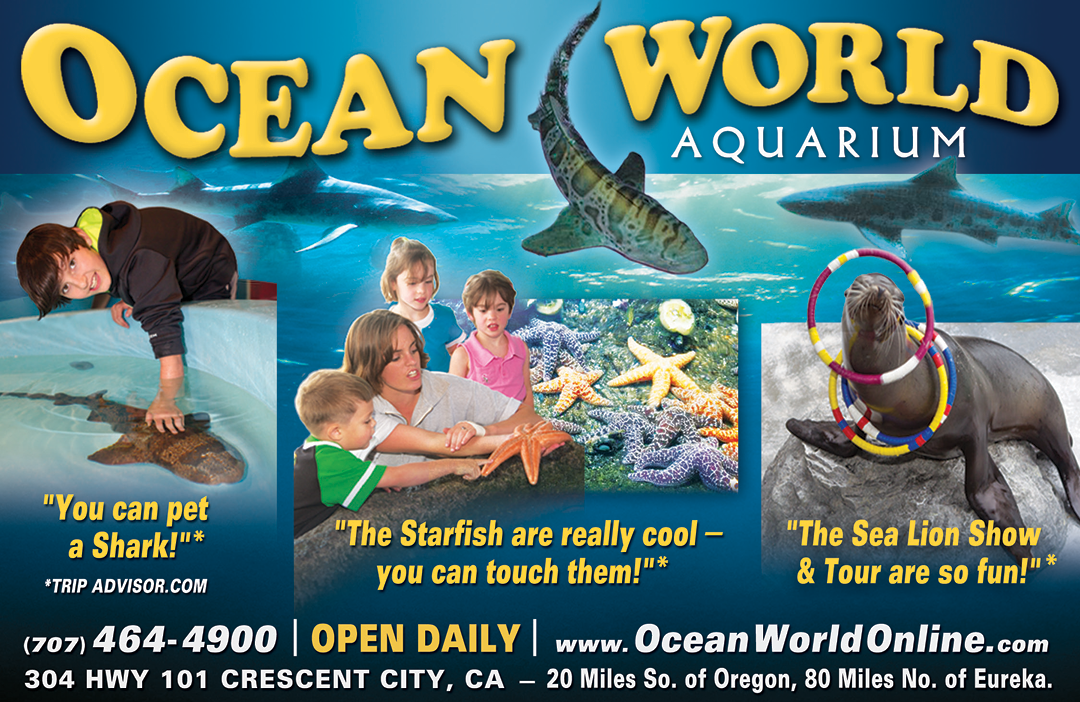 A poster advertising an aquarium with a shark, a seal, and a child. AI generated content