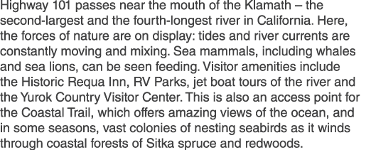 Highway 101 passes near the mouth of the Klamath – the second largest and the fourth longest river in California. Her...