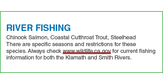 RIVER FISHING Chinook Salmon, Coastal Cutthroat Trout, Steelhead There are specific seasons and restrictions for thes...