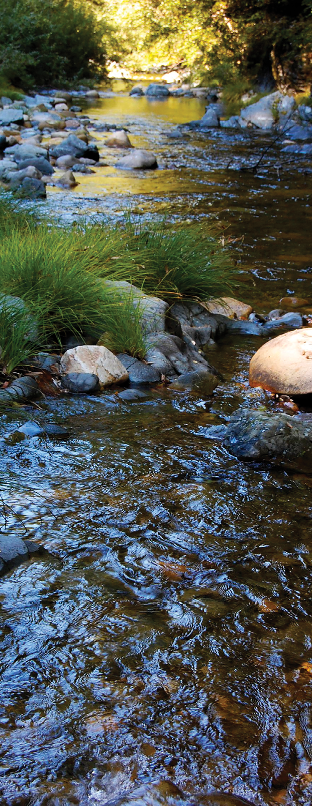 Upstream photo of Winchuck River in Brookings, Oregon.