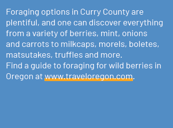 Foraging options in Curry County are plentiful, and one can discover everything from a variety of berries, mint, onio...