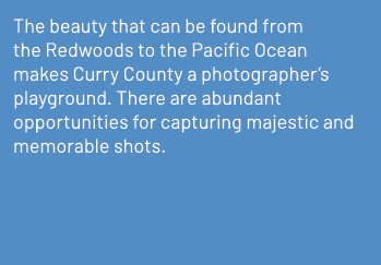 The beauty that can be found from the Redwoods to the Pacific Ocean makes Curry County a photographer’s playground. T...