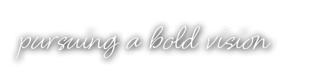 pursuing a bold vision