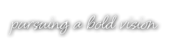 pursuing a bold vision