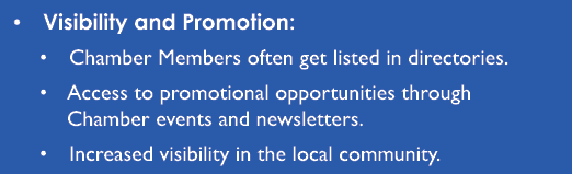 • Visibility and Promotion: • Chamber Members often get listed in directories. • Access to promotional opportunities ...