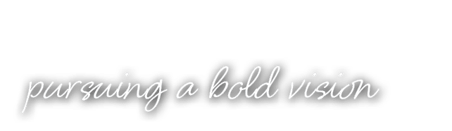 pursuing a bold vision