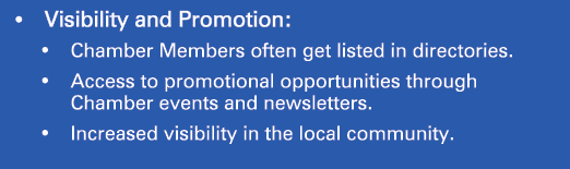 • Visibility and Promotion: • Chamber Members often get listed in directories. • Access to promotional opportunities ...
