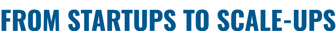 FROM STARTUPS TO SCALE UPS
