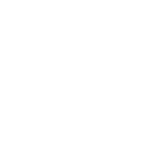 Meet our 2022 Investor Level Members