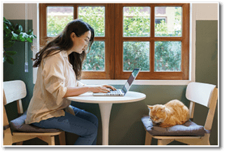 woman working from home with cat. cat asleep on the laptop keyboard. assistant cat working at Laptop.