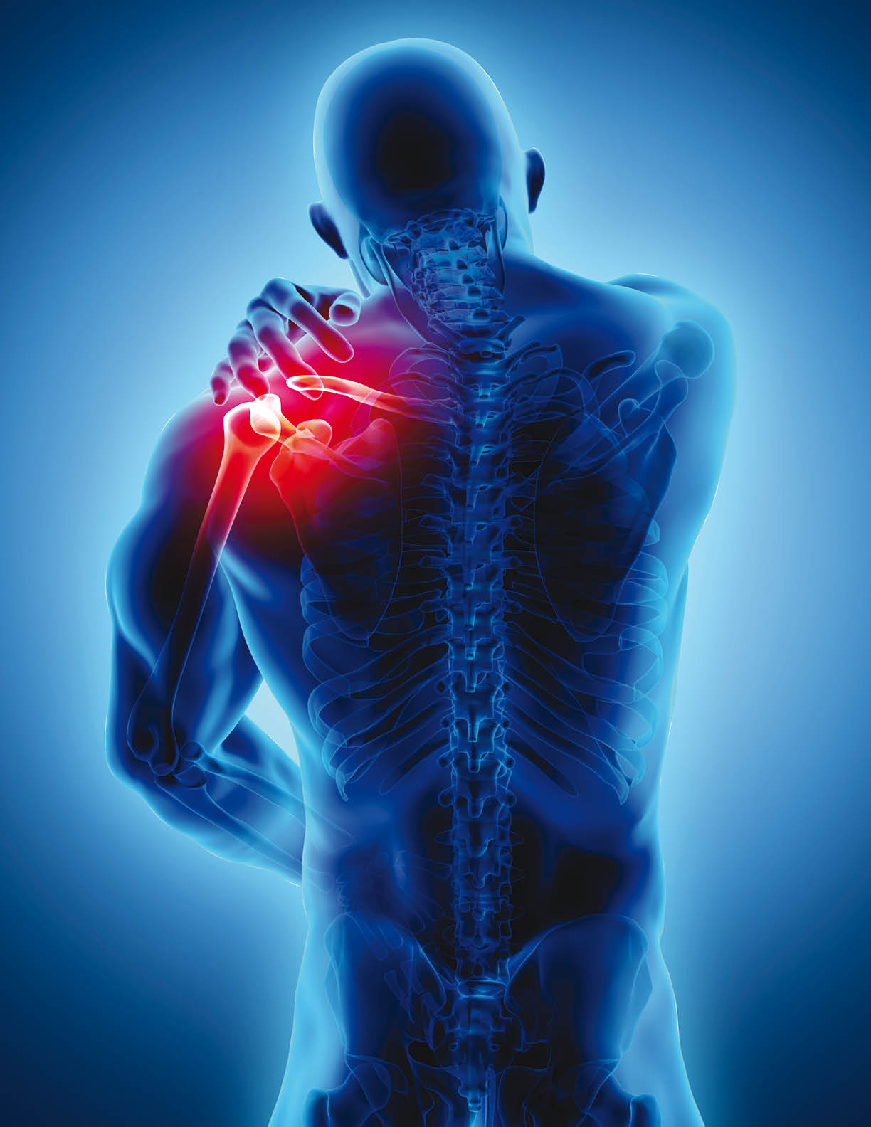 3D illustration, shoulder painful skeleton x-ray, medical concept.
