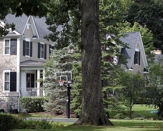 Steve Lundy/slundy@dailyherald.com A look down Westgate Rd. in Deerfield. 