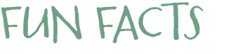 Fun Facts