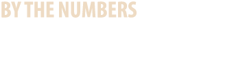 BY THE NUMBERS Nine in 10 U.S. adults feel that their local chamber has an impact on growing the local economy (90%) ...