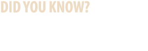 Did You Know? America’s first Chamber of Commerce, The New York State Chamber, was formed in 1768.