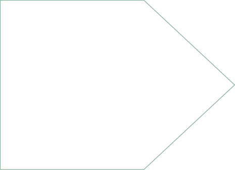 Polygon