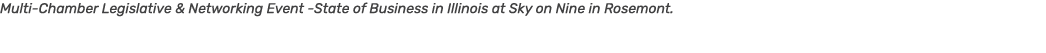 Multi Chamber Legislative & Networking Event State of Business in Illinois at Sky on Nine in Rosemont.