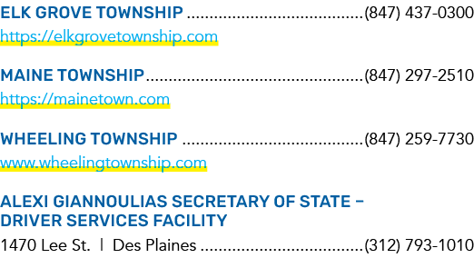 Elk Grove Township (847) 437 0300 https://elkgrovetownship.com Maine Township (847) 297 2510 https://mainetown.com Wh...