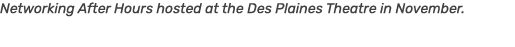 Networking After Hours hosted at the Des Plaines Theatre in November. 