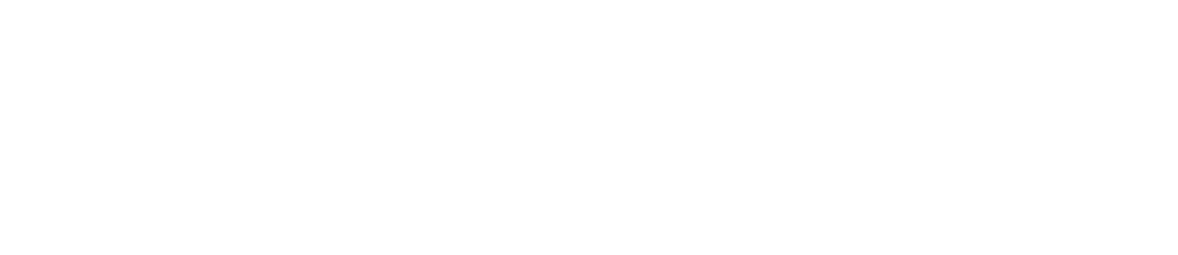 CHAMBER LIFE
