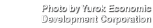 Photo by Yurok Economic Development Corporation