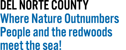 Del Norte County Where Nature Outnumbers People and the redwoods meet the sea! 