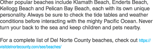 Other popular beaches include Klamath Beach, Enderts Beach, Kellogg Beach and Pelican Bay Beach, each with its own un...