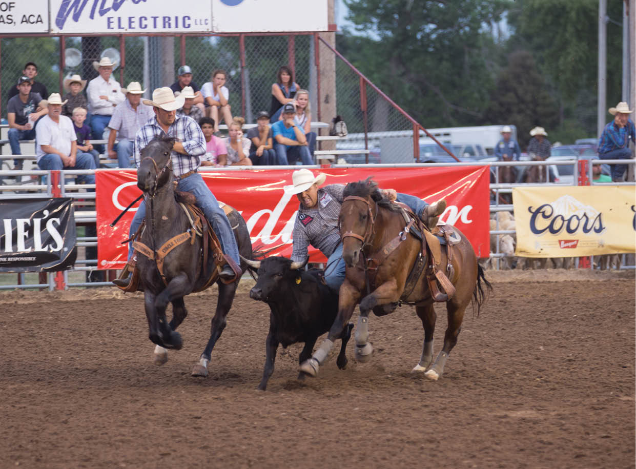 Two men on horses are chasing a cow in a dirt field. AI generated content