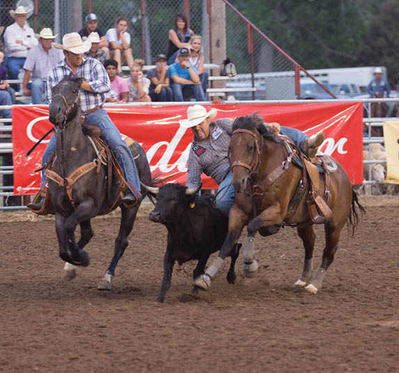 A man riding a horse is chasing a cow in a dirt field. AI generated content