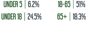 UNDER 5 | 6.2% UNDER 18 | 24.5% 18 65 | 51% 65+ | 18.3% 