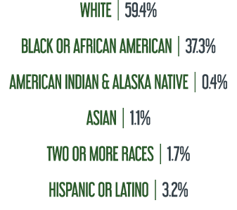 WHITE | 59.4% BLACK or african american | 37.3% AMERICAN INDIAN & ALASKA NATIVE | 0.4% ASIAN | 1.1% TWO OR MORE RACES...