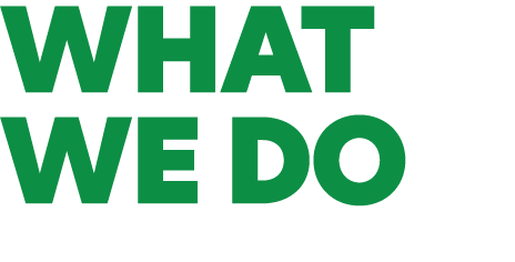 What We Do