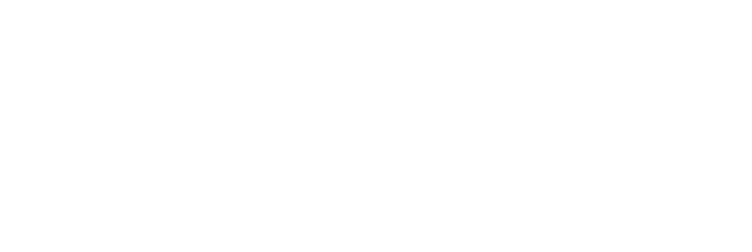 To Live: The St. Patrick’s Parade, Festival, and Fun Run These annual celebrations are a regional draw and, for at le...