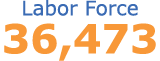 Labor Force 36,473