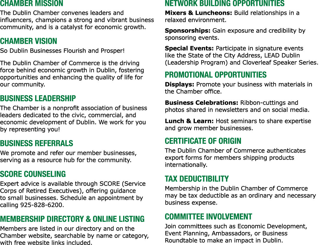 CHAMBER MISSION The Dublin Chamber convenes leaders and influencers, champions a strong and vibrant business communit...