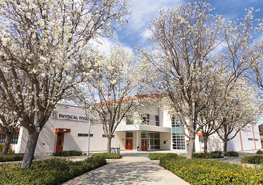 A school building with a white exterior and a red door. AI generated content