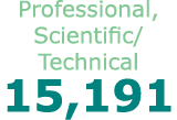 Professional, Scientific/Technical 15,191