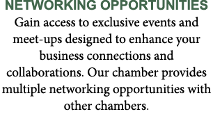 Networking Opportunities Gain access to exclusive events and meet ups designed to enhance your business connections a...