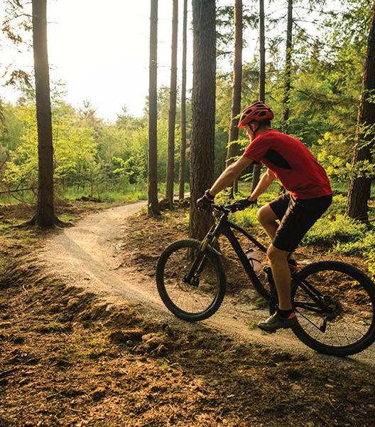 Mountain biker riding on bike in spring inspirational mountains landscape. Man cycling MTB on enduro trail path. Sport fitness motivation and inspiration. Rider mountain biking in fall woods.