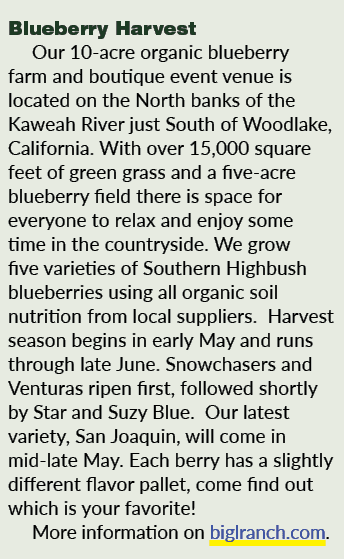 Blueberry Harvest Our 10 acre organic blueberry farm and boutique event venue is located on the North banks of the Ka...