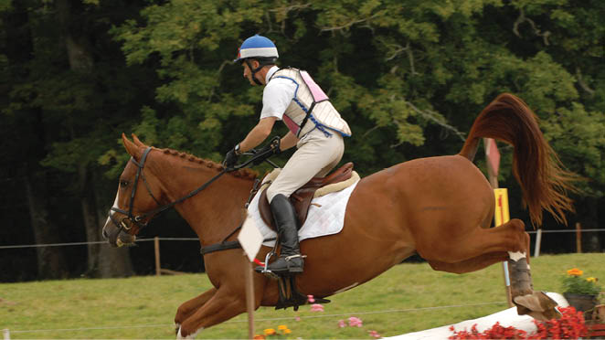 horse jumping a cross-country obstacle