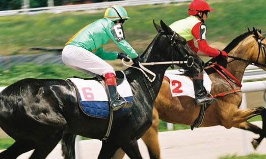Horse race,Northern Caucasus,Russia.