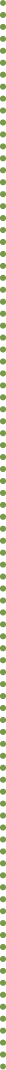 GraphicLine