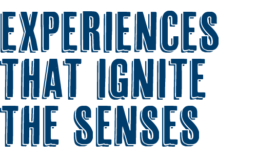 EXPERIENCES THAT IGNITE THE SENSES