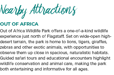  Nearby Attractions Out of Africa Out of Africa Wildlife Park offers a one of a kind wildlife experience just north o...
