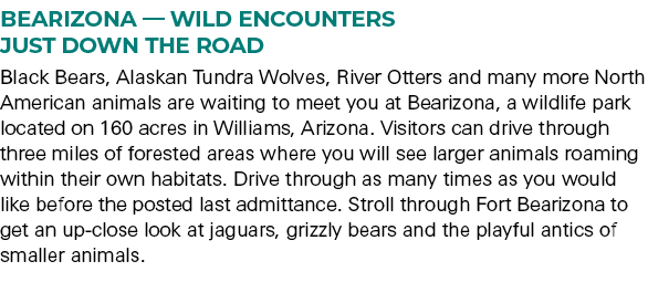 Bearizona — Wild Encounters Just Down the Road Black Bears, Alaskan Tundra Wolves, River Otters and many more North A...