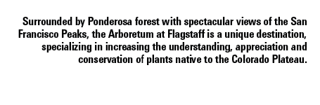 Surrounded by Ponderosa forest with spectacular views of the San Francisco Peaks, the Arboretum at Flagstaff is a uni...