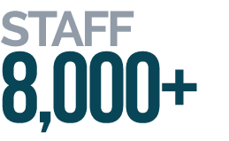 Staff 8,000+